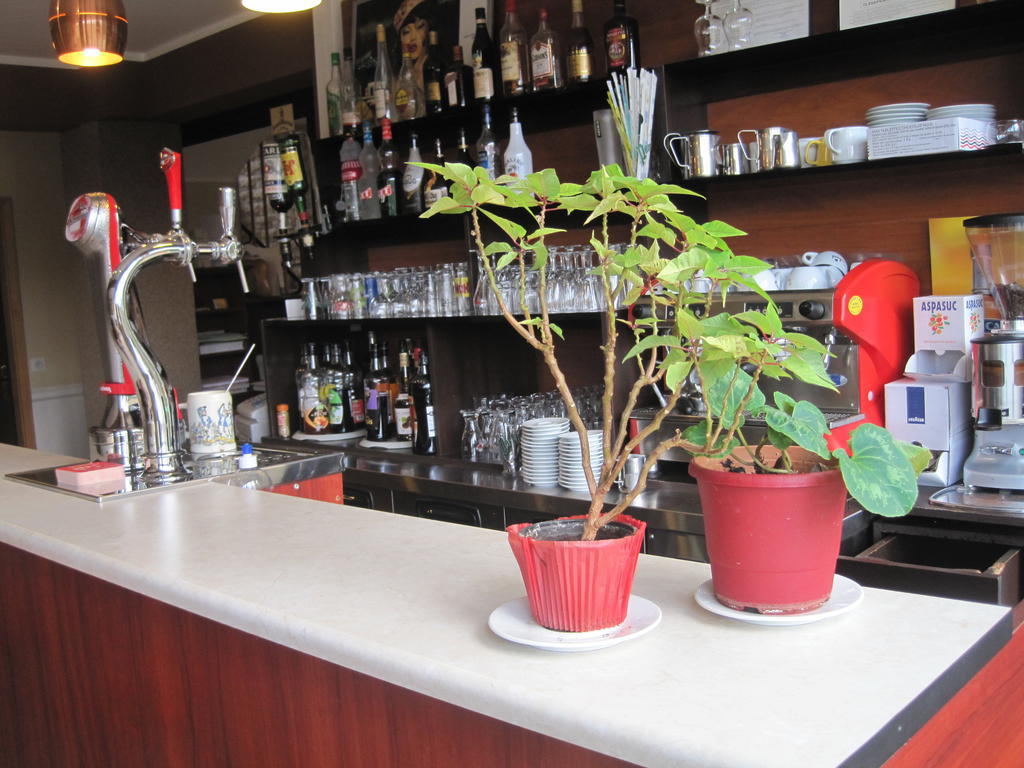 左岸餐厅酒店 加尔唐普河畔贝西讷 客房 照片